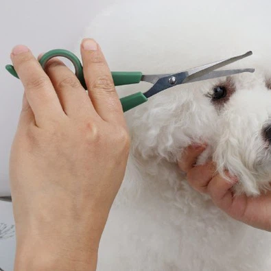 Mikilvægi þess að nota gæludýraskæri